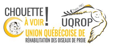 Union québécoise de réhabilitation des oiseaux de proie
