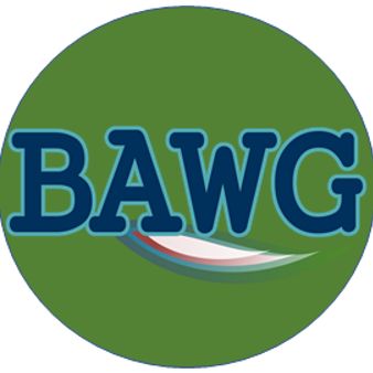 Belfast Area Watershed Group